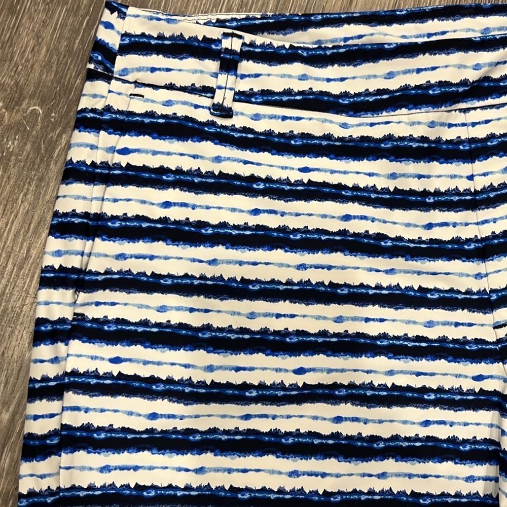 Spanx sunshine shorts in blue painted stripe 4”size XL - Picture 5 of 8